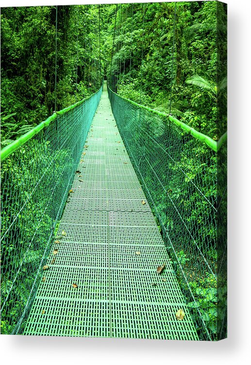 Hanging Bridge Acrylic Print featuring the photograph Hanging Bridge in Cloud Forest in Monte Verde Costa Rica by Leslie Struxness