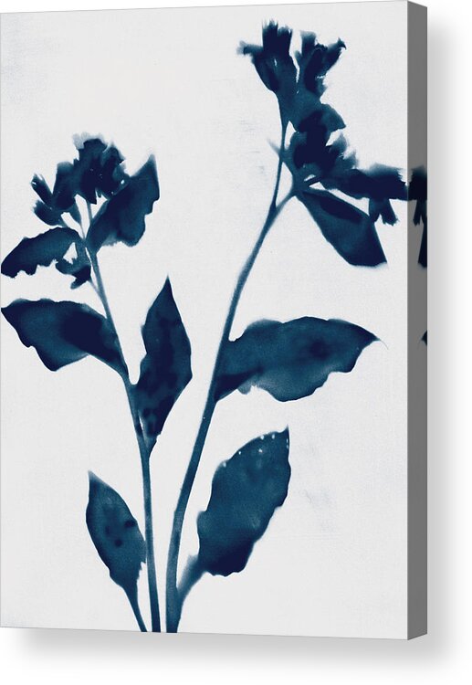 Indigo Acrylic Print featuring the mixed media Indigo Blue Flowers 2 by Janine Aykens