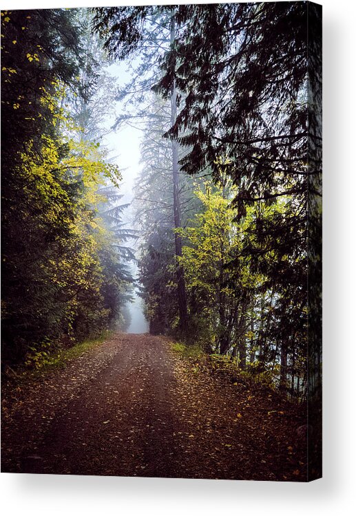Mist Acrylic Print featuring the photograph Into The Light by Carmen Kern