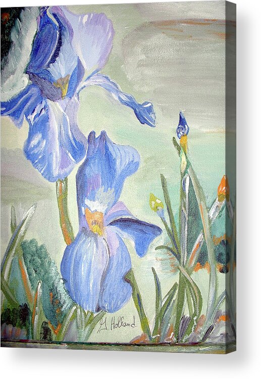 Iris Acrylic Print featuring the painting Bloom and budding by Genevieve Holland