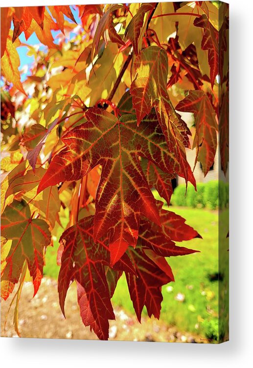 Leaves Acrylic Print featuring the photograph It Is Time by Roberta Byram