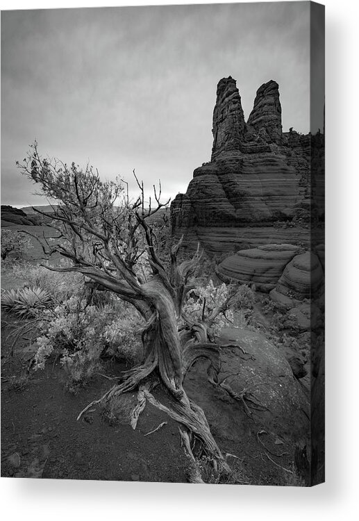 Sedona Acrylic Print featuring the photograph Juniper and Nuns - Sedona by Alexander Kunz