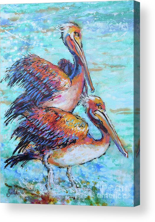 Juvenile Brown Pelican Acrylic Print featuring the painting Juvenile Pelicans by Jyotika Shroff