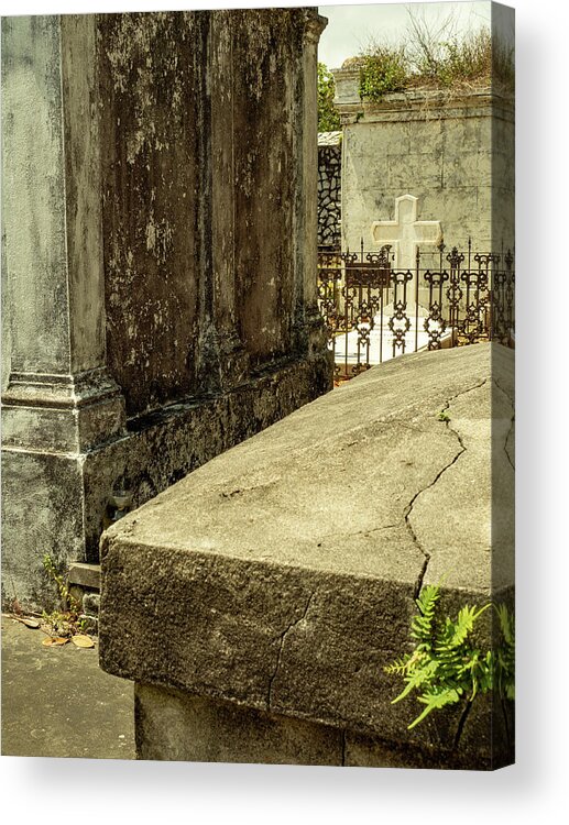 New Orleans Acrylic Print featuring the photograph Lafayette Cemetery, New Orleans by Leslie Struxness