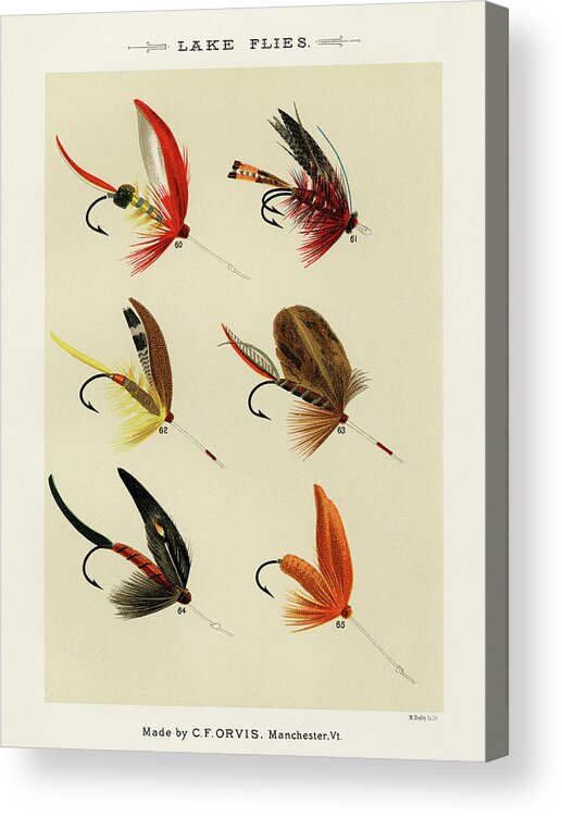 Games Acrylic Print featuring the drawing Lake Fishing Flies VI from Favorite Flies and Their Histories by Mary Orvis Marbury