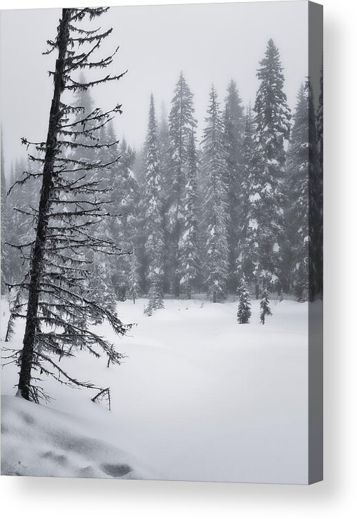 Black And White Photography Acrylic Print featuring the photograph Lakeside Winter Scene BW by Allan Van Gasbeck
