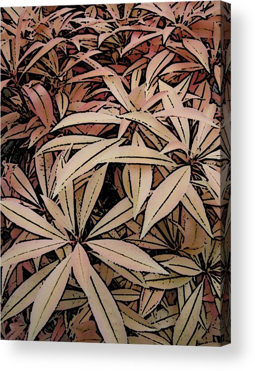 Leaf Acrylic Print featuring the digital art Leafy Delight 3 by Tim Allen