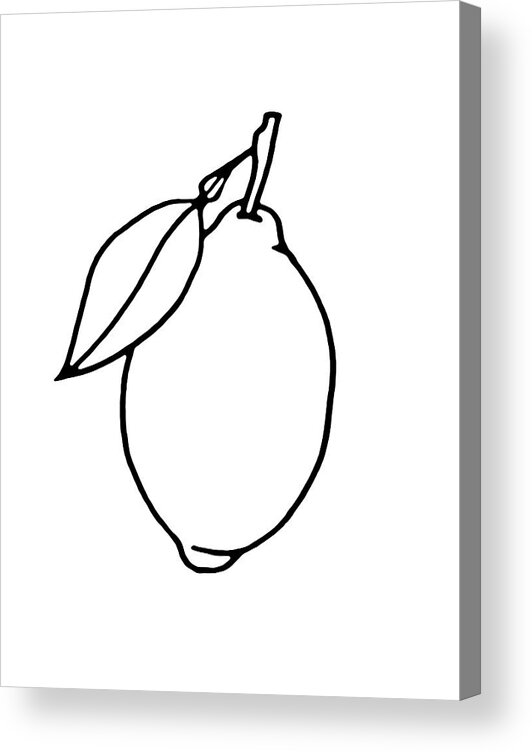 Botanical Acrylic Print featuring the drawing Lemon 1 by Masha Batkova