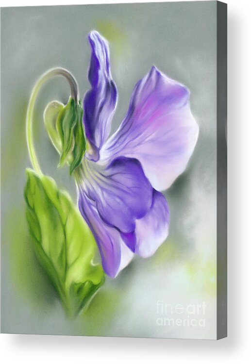 Botanical Acrylic Print featuring the painting Light Purple Violet with Green Leaf by MM Anderson