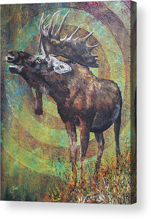 Moose Acrylic Print featuring the painting Lookin' for Love by Shawn Conn