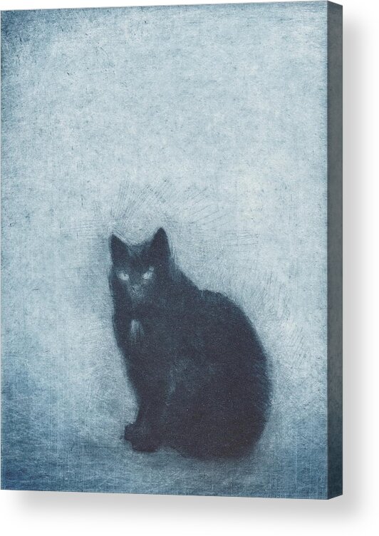 Cat Acrylic Print featuring the drawing Madame Escudier - etching by David Ladmore