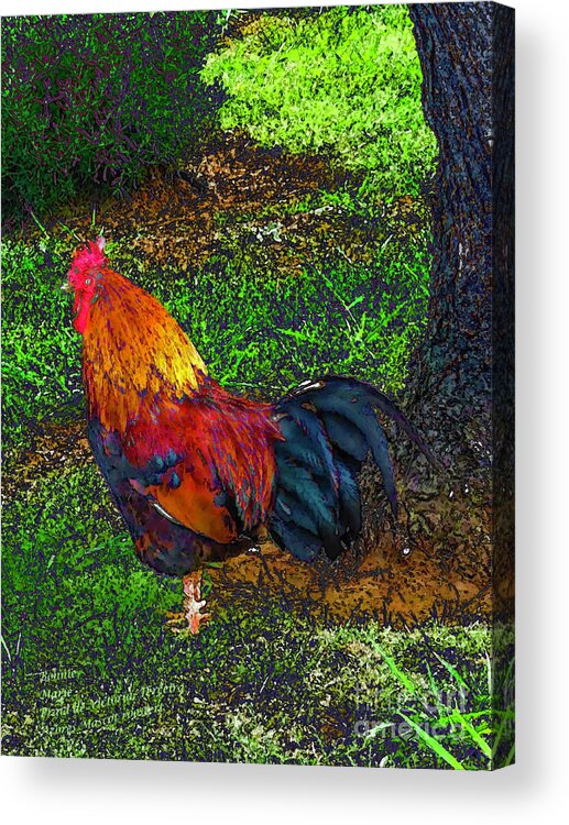 The Mascot Acrylic Print featuring the photograph Mascot Rooster Azores by Bonnie Marie