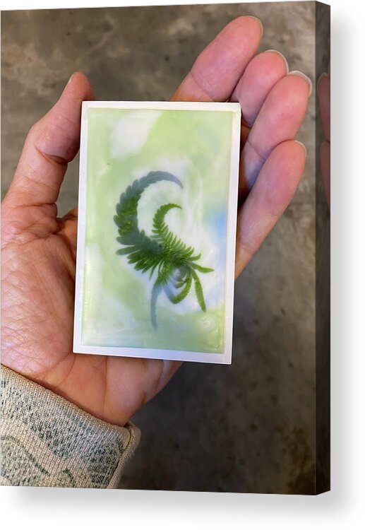 Fern Acrylic Print featuring the mixed media Mini Scorpion Fern by Dorian Hill