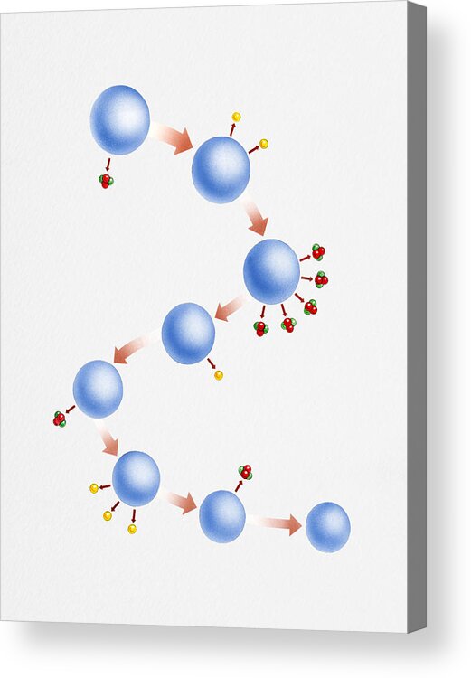 Watercolor Painting Acrylic Print featuring the drawing Molecular chemistry illustration of radioactive decay, beta radiation, alpha radiation, polonium, lead, and uranium by Dorling Kindersley