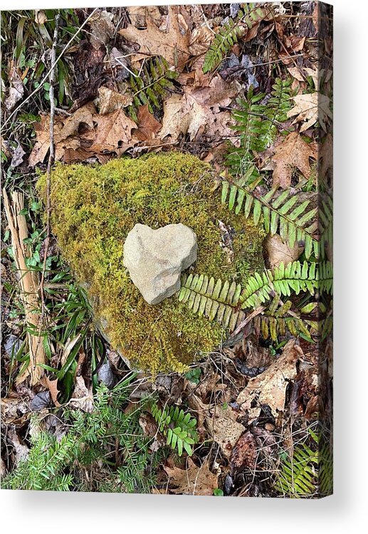 Heart Acrylic Print featuring the painting Natures Love Note by Suzan Sommers