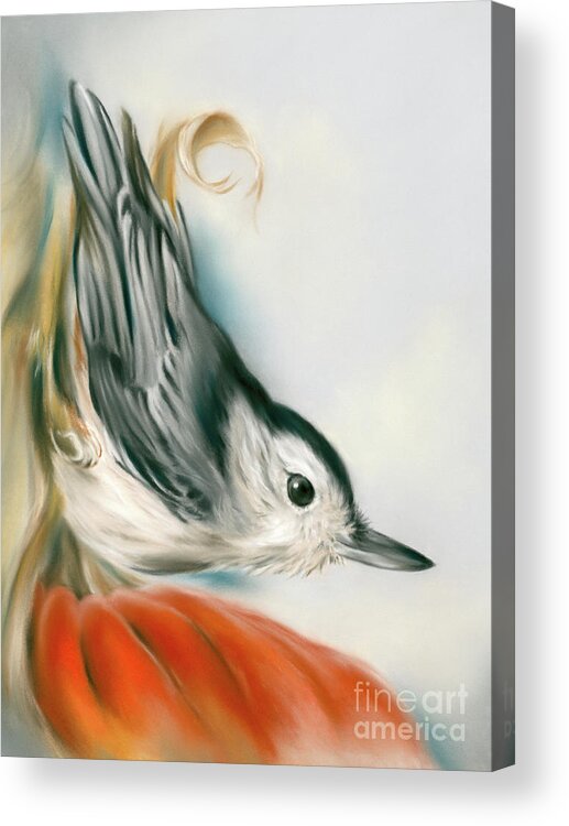 Bird Acrylic Print featuring the painting Nuthatch Bird with Autumn Pumpkin by MM Anderson