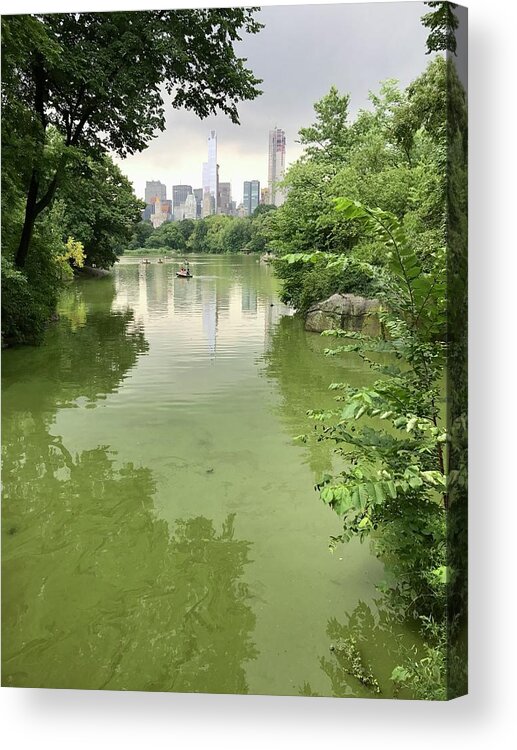 Nyc Acrylic Print featuring the photograph NYC Across Lake, July by Judy Frisk