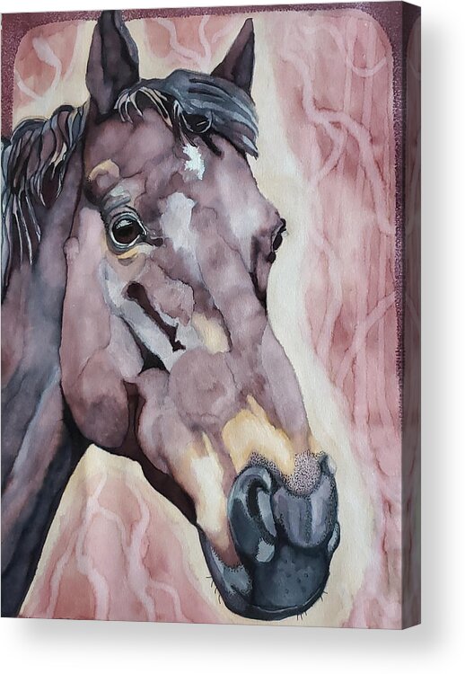 Horse Acrylic Print featuring the painting Okie by Equus Artisan