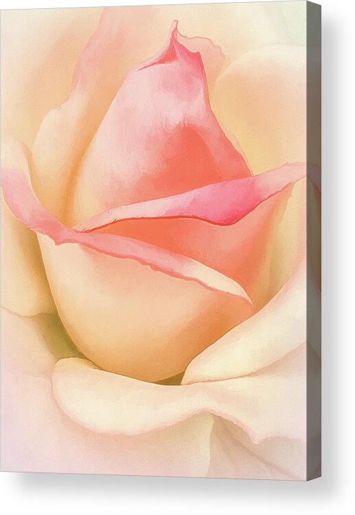 Roses Acrylic Print featuring the digital art Pastel Rose Tones by Kevin Lane