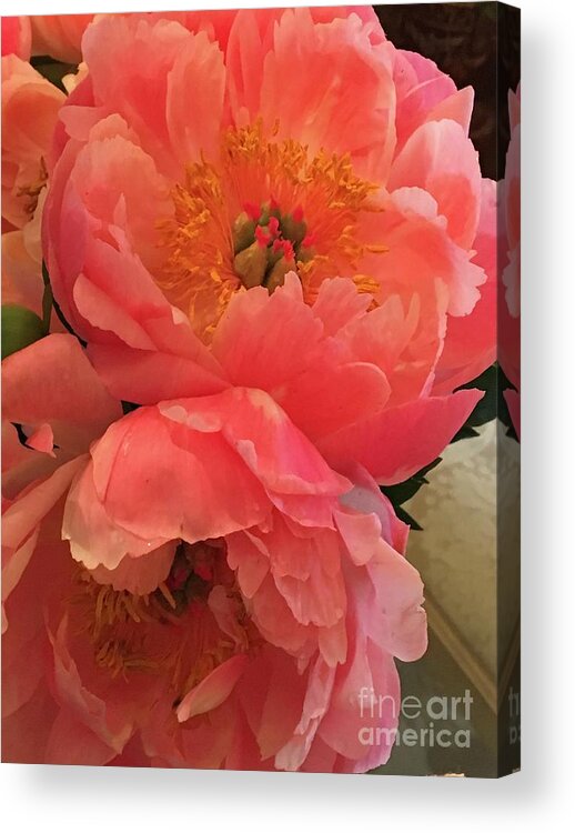 Flowers Acrylic Print featuring the photograph Peonies by Theresa D Williams
