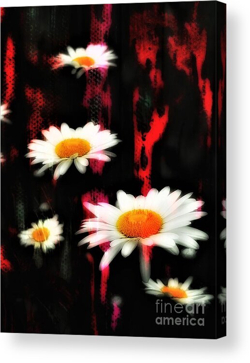 Daisy Acrylic Print featuring the painting Peripheral Vision by Jacqueline McReynolds
