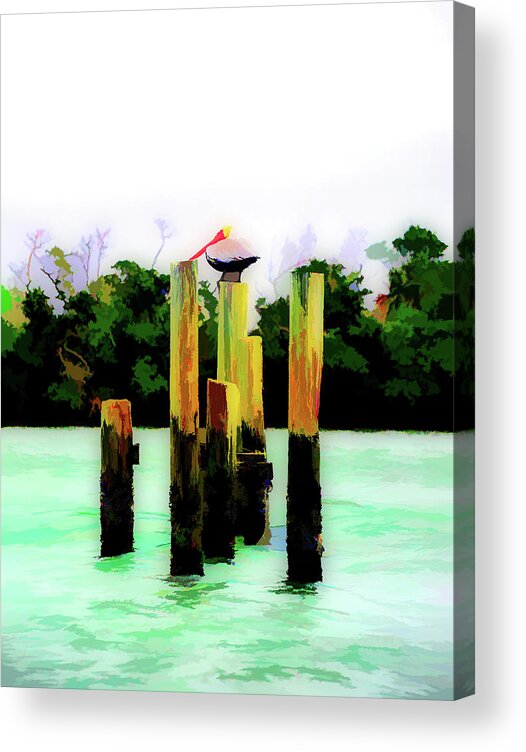 Pelican Acrylic Print featuring the photograph Pelican Art by Alison Belsan Horton