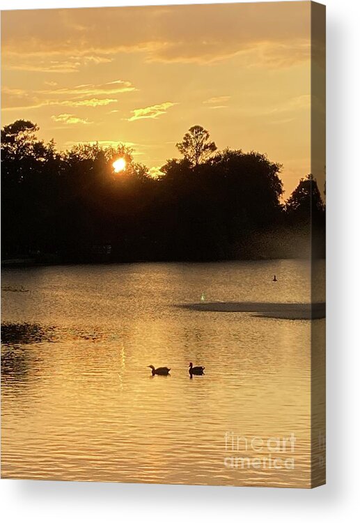 Acrylic Print featuring the photograph Pond1 by Mary Kobet