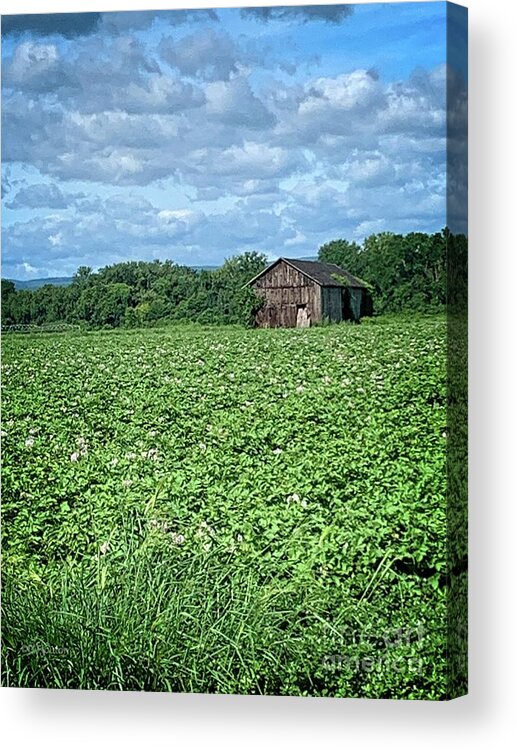 Pink Flower Acrylic Print featuring the digital art Potato Fields with Barn by Dee Flouton