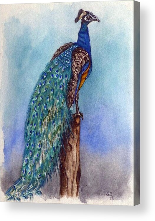 Peacock Acrylic Print featuring the painting Proud Peacock by Kelly Mills