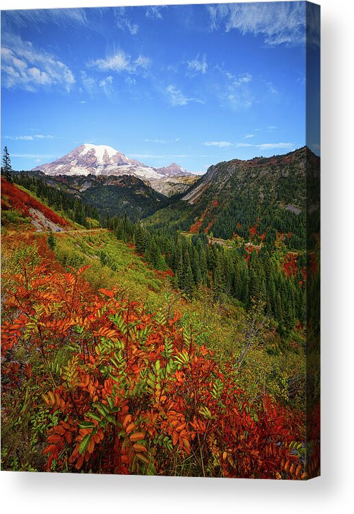 Mount Rainier National Park Acrylic Print featuring the photograph Rainier Fall Delight by Dan Mihai