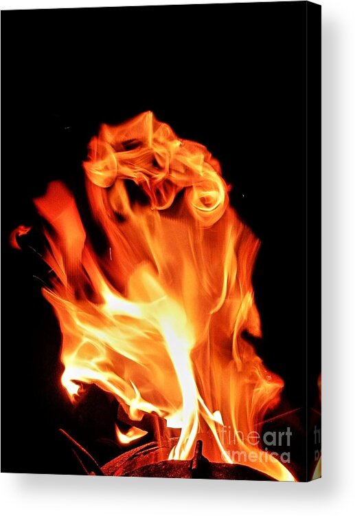Fire Acrylic Print featuring the photograph Red Hot by Tracey Lee Cassin