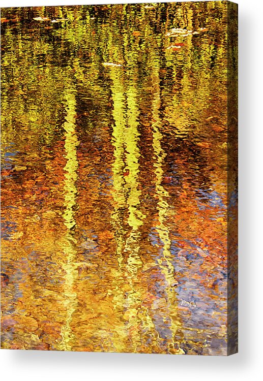 Abstract Acrylic Print featuring the photograph Reflection of Fall Trees by Charles Floyd