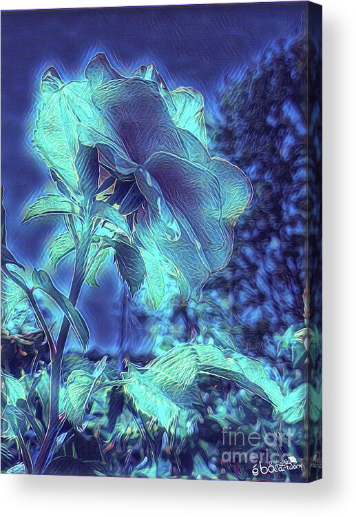Rose Acrylic Print featuring the digital art Rose Blues by Elaine Berger