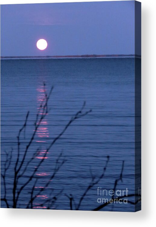 Canada Acrylic Print featuring the photograph Silent Moon Over Water by Mary Mikawoz