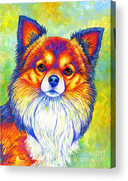 Chihuahua Acrylic Print featuring the painting Small and Sassy - Colorful Rainbow Chihuahua Dog by Rebecca Wang