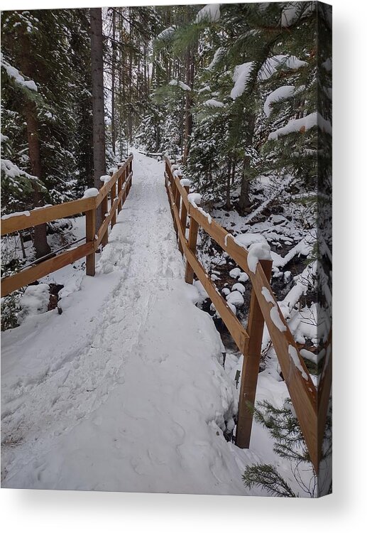 Landscape Acrylic Print featuring the photograph Snowy pathway by Erin Mitchell