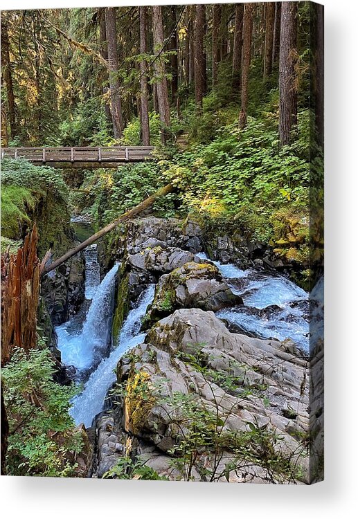 Waterfalls Acrylic Print featuring the photograph Sol duc Falls 2 by Jerry Abbott