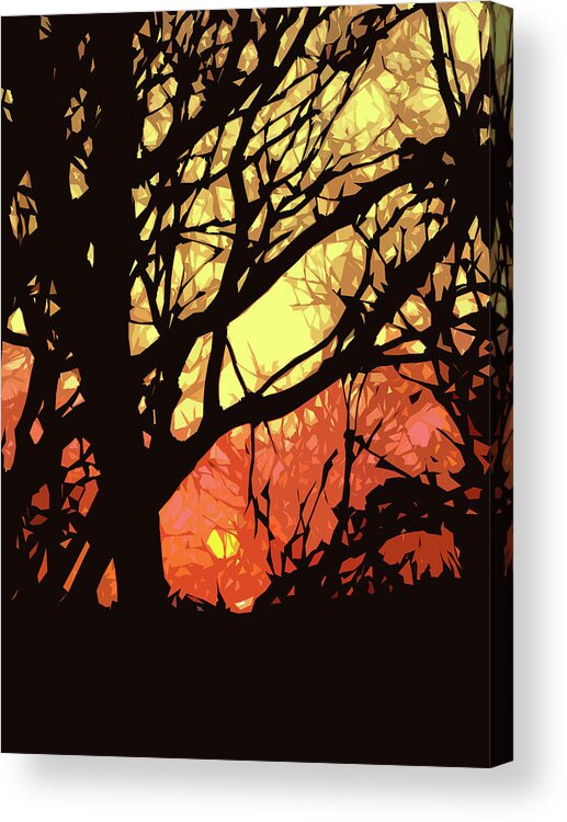 Sunset Acrylic Print featuring the digital art Spectacular Sunset by Nancy Olivia Hoffmann