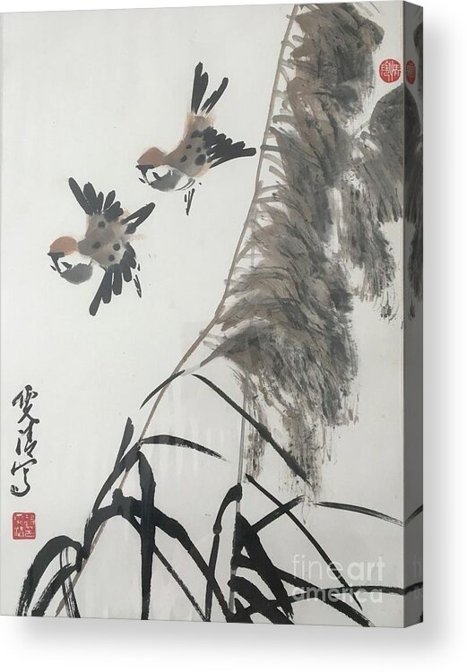 Bird Acrylic Print featuring the painting Spring Coming by Carmen Lam