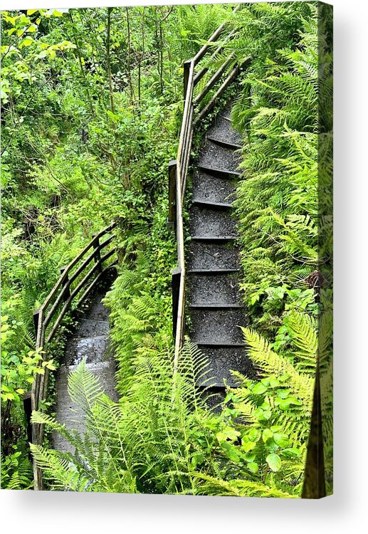 Nature Acrylic Print featuring the photograph Stairway to Glenariff River Falls by Charles Kraus