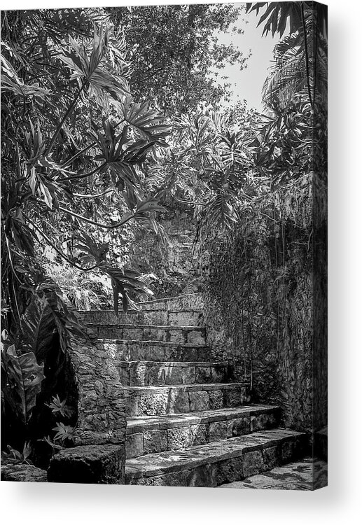 Chichen Itza Acrylic Print featuring the photograph Steps Near Cenote Chichen Itza by Frank Mari