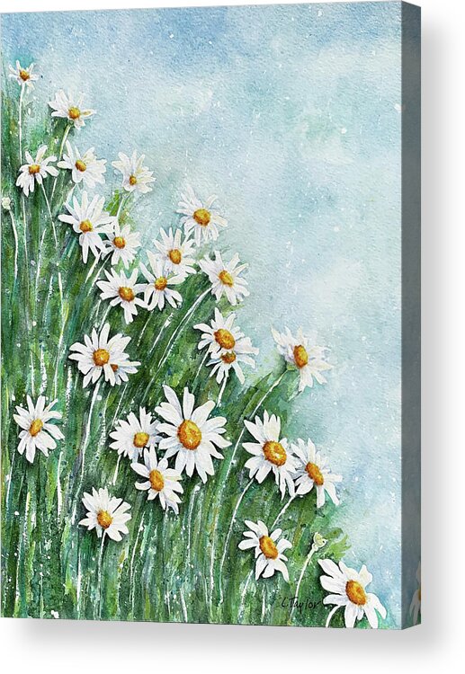 Daisies Acrylic Print featuring the painting Summer Breeze by Lori Taylor