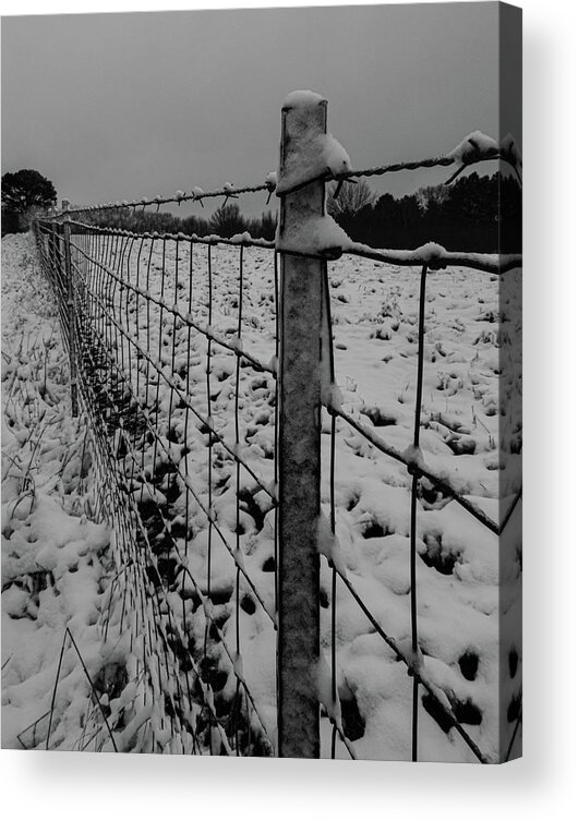Fence Acrylic Print featuring the photograph The fence line by Jamie Tyler