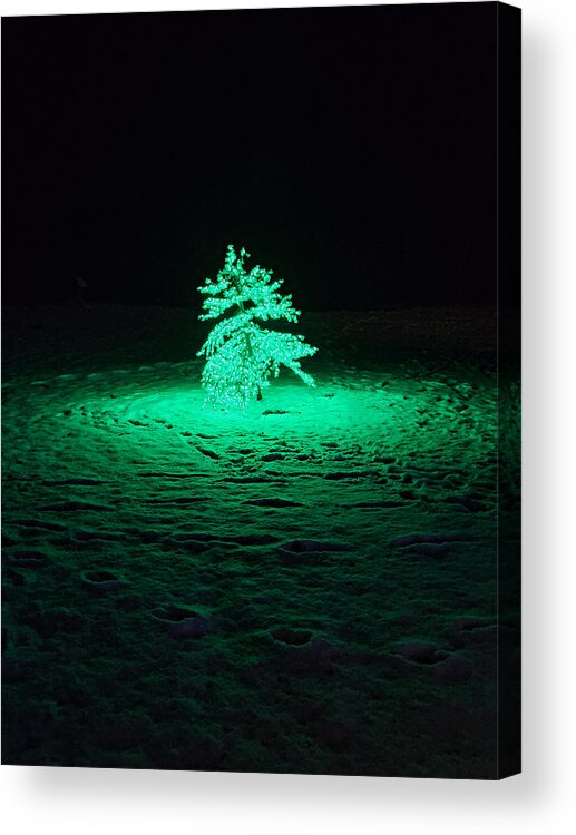 Tree Acrylic Print featuring the digital art The Grinch Stole Christmas by Micki Findlay