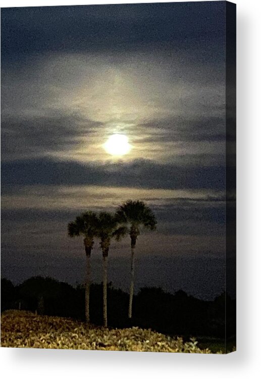 Moon Acrylic Print featuring the photograph Three Palm Moon by Dorsey Northrup