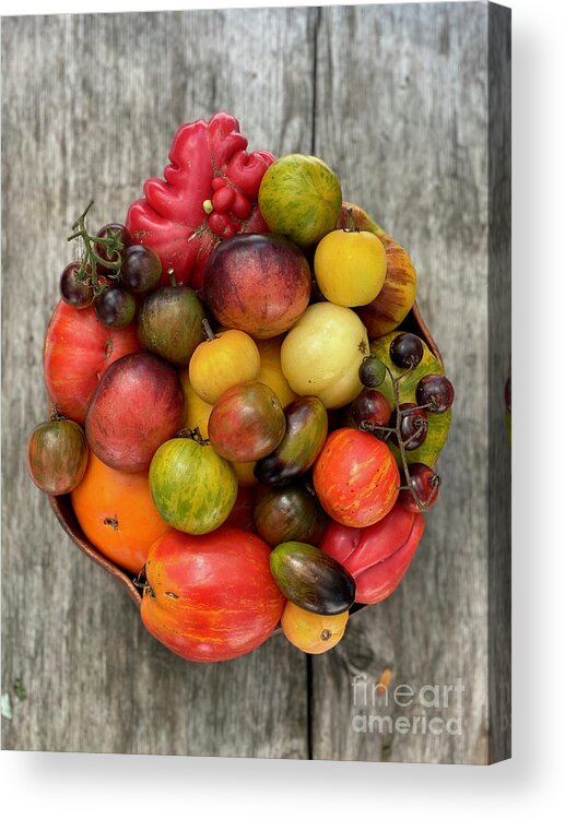 Tomatoes Acrylic Print featuring the photograph Tomatoes by Laura Honaker