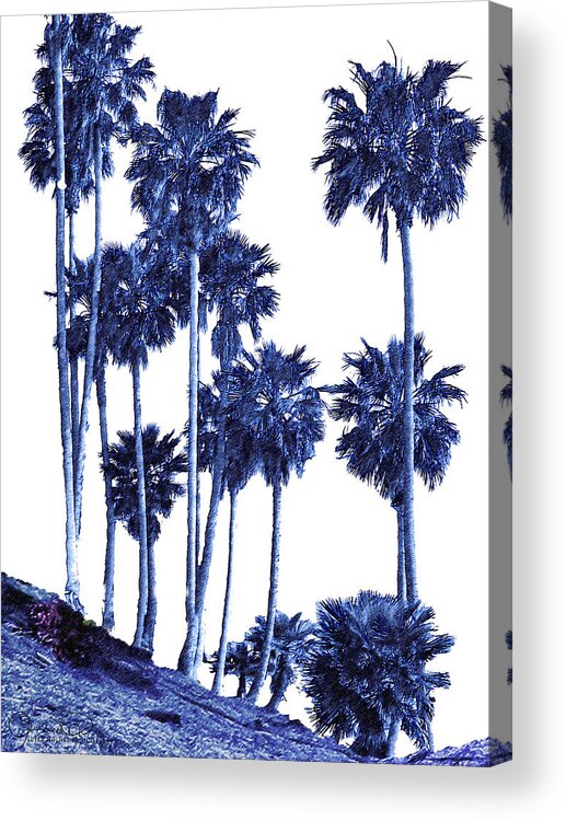 Tropical Blues 5a Acrylic Print featuring the photograph Tropical Blues 5a by Susan Molnar