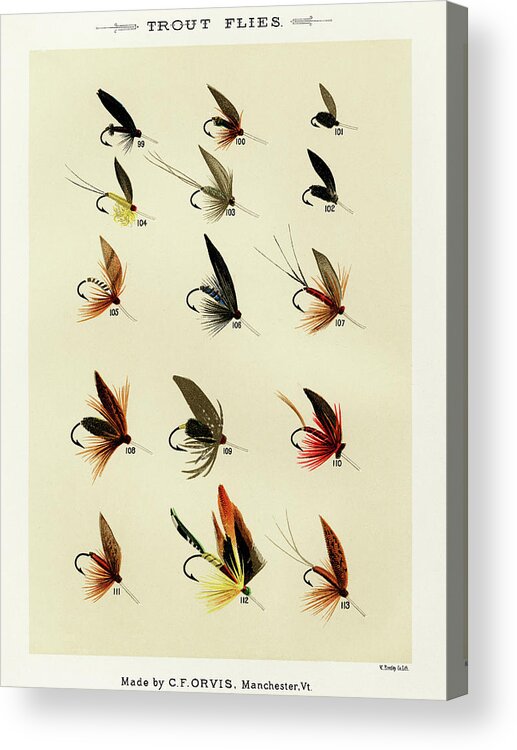 Games Acrylic Print featuring the drawing Trout Fishing Flies X from Favorite Flies and Their Histories by Mary Orvis Marbury