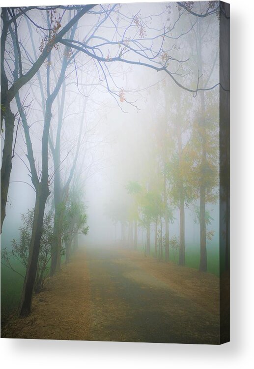Landscape Acrylic Print featuring the photograph Unclear path by Jarek Filipowicz