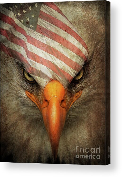 Eagle Mask Acrylic Print featuring the digital art Eagle Mask by Shanina Conway